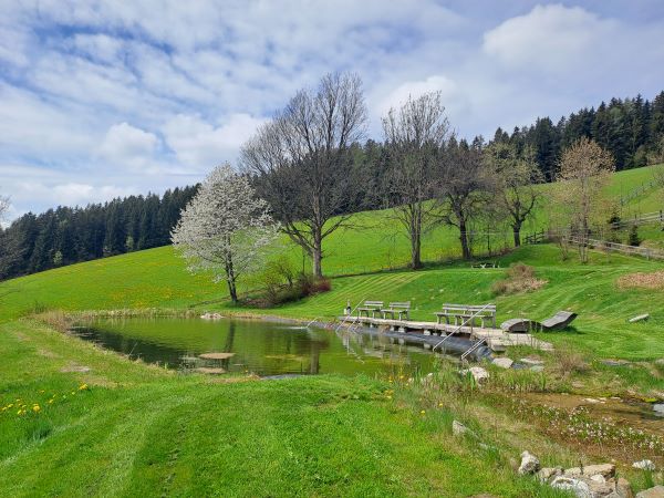 Teich beim Familienhotel Berger 