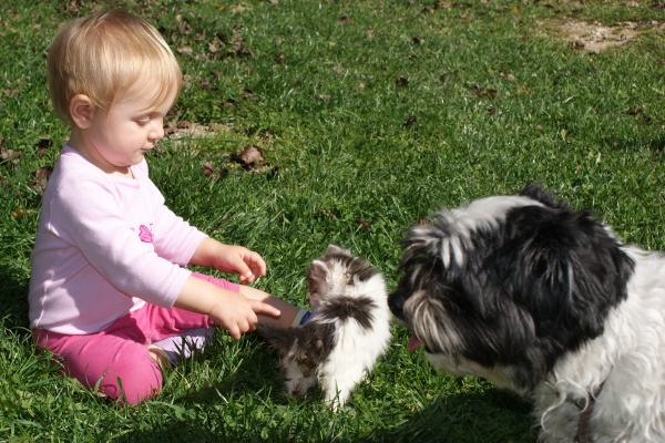 kind mit katze und hund in der Wiese, familienhotel berger, steiermark/österreich