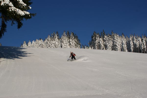 Carver am Familienschiberg St Jakob im Walde in der Steiermark